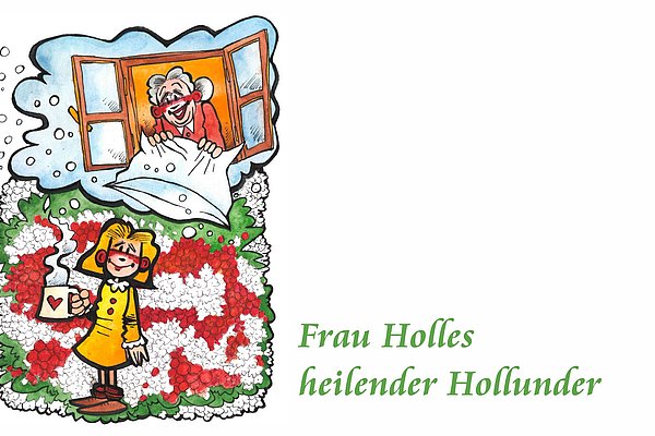 Frau Holles heilender Hollunder