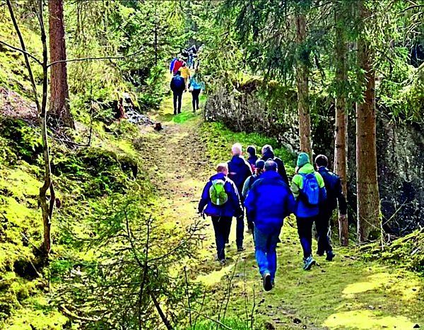 Ein Gruppe von Wanderern laufen auf einem mit Moos bewachsenen Steig umsäumt mit verschiedenen Bäumen und Farben.