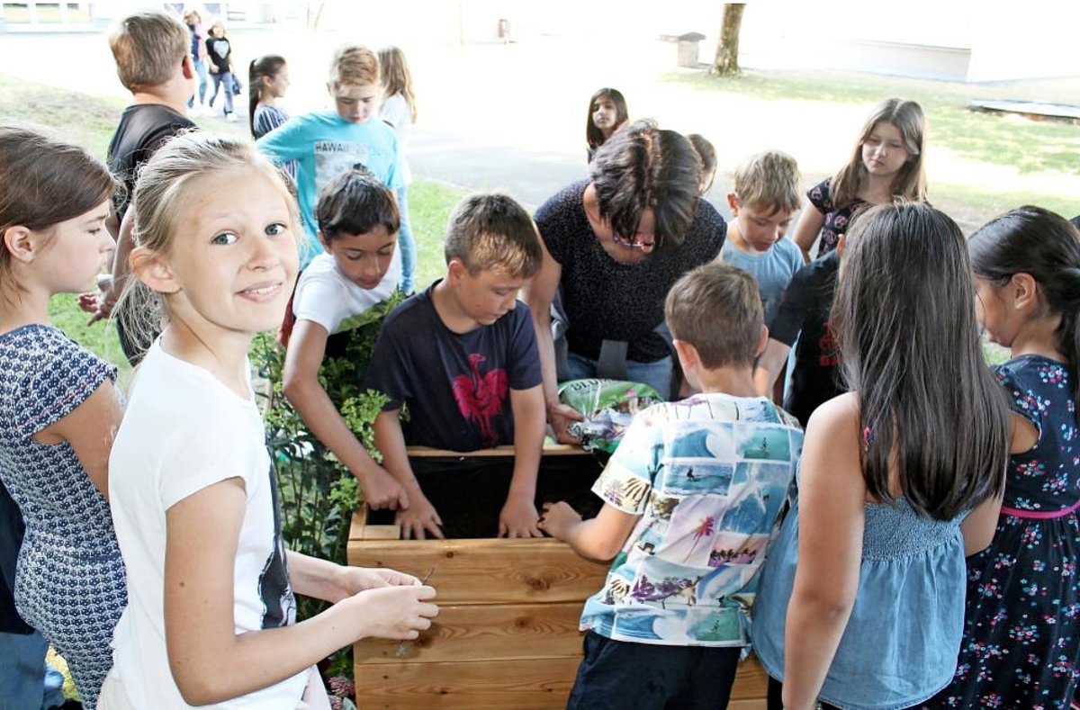 Das Bild zeigt eine Gruppe von Kindern der Grundschule Ludwigsstadt, die gerade ein Hochbeet bepflanzen.