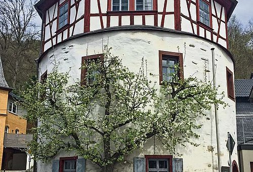 Zu sehen ist ein historischer Rundbau, der im oberen Bereich sichtbares Fachwerk aufweist. Im Vordergrund ist ein blühender Birnbaum zu sehen, der sich an das Gebäude schmiegt. 